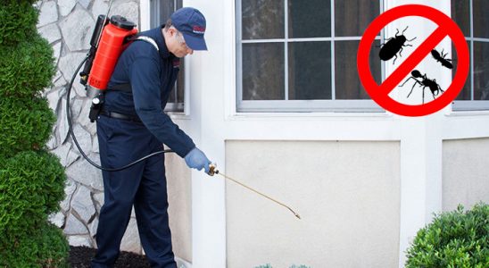 Karabağlar Fare İlaçlama böcek ilaçlama ve haşere kontrolü — ilaclama-tr.com